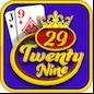 29 card game icon